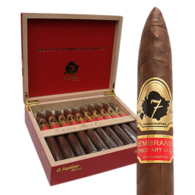 Sacred Art - Rembrandt Torpedo